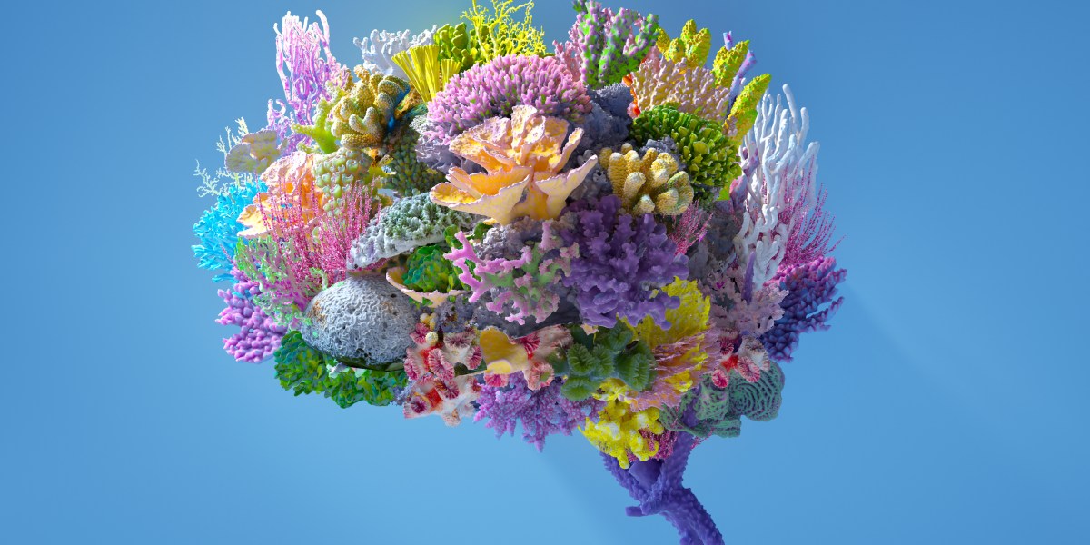 Intelligence for good: Using artificial intelligence to accelerate social impact | Fortune