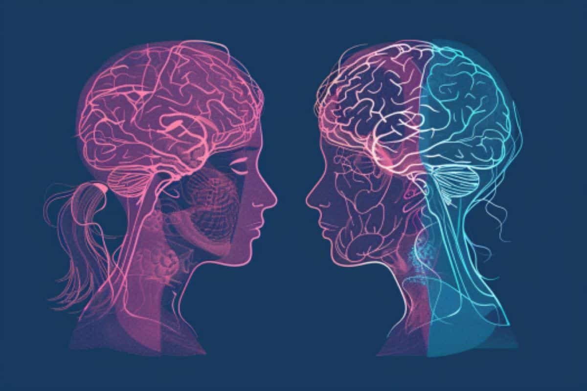 AI Reveals Hidden Differences in Male and Female Brain Structures - Neuroscience News