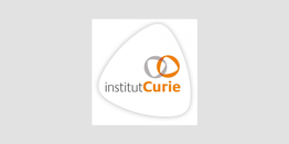 institut curie