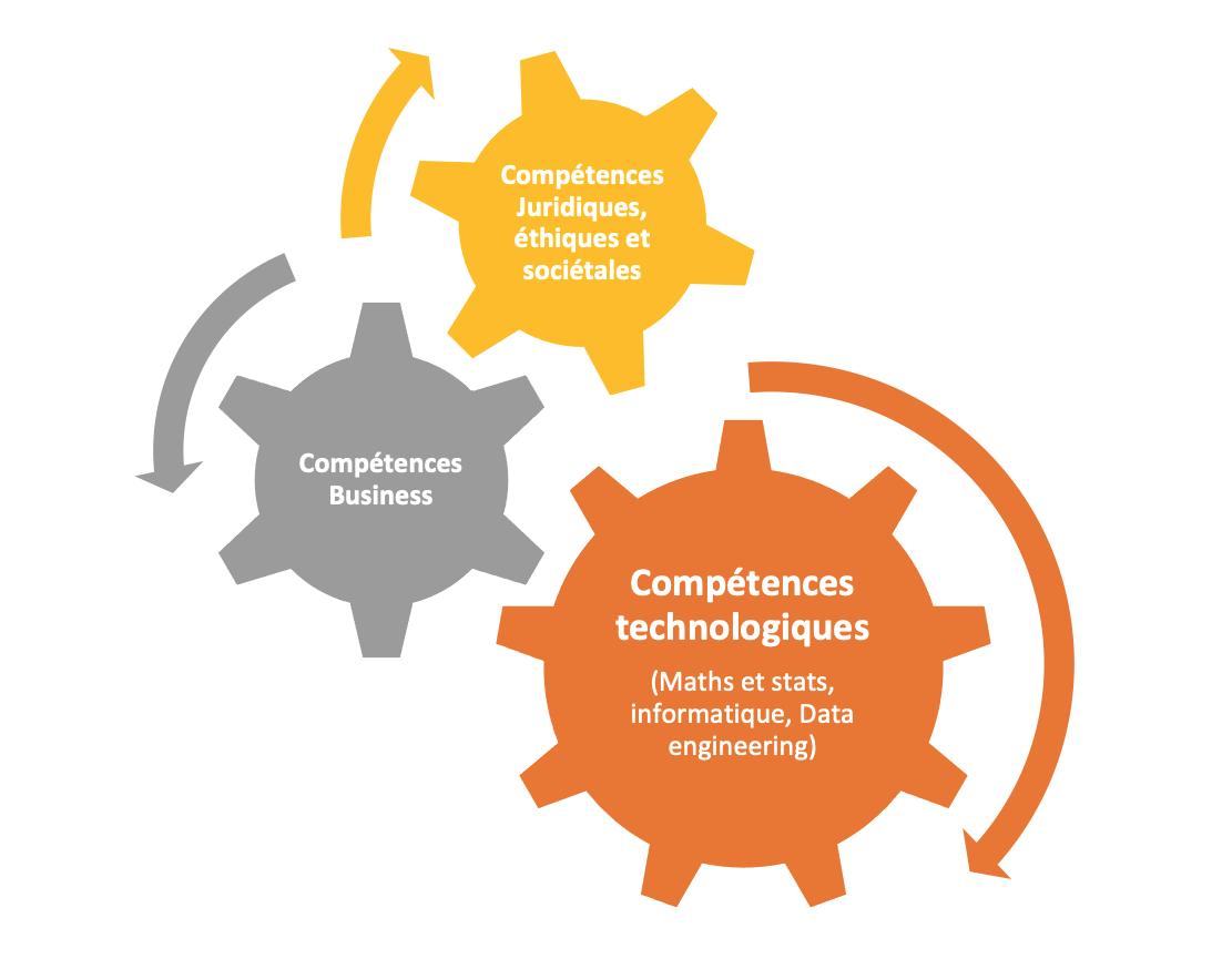 schema compétences