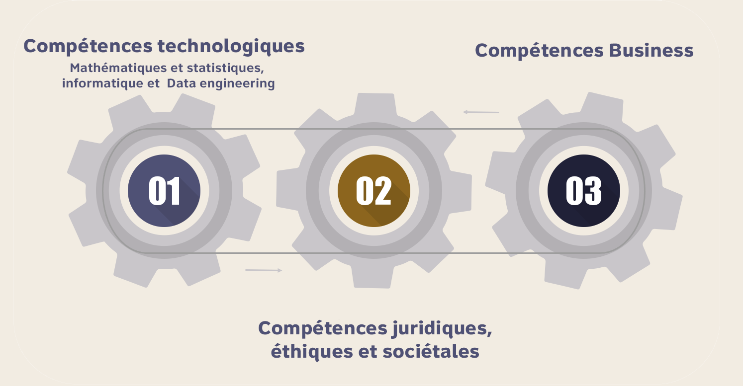 schema DATA compétences