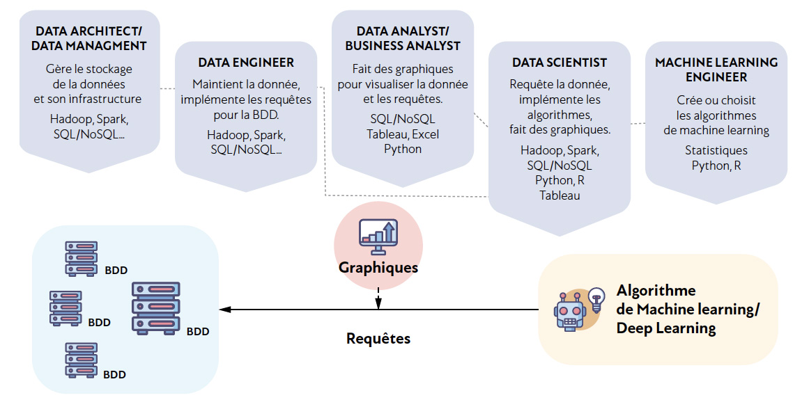 schema data 1