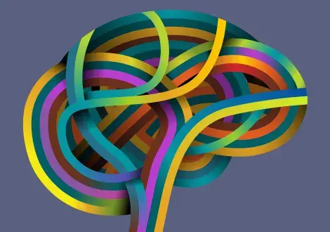 brain